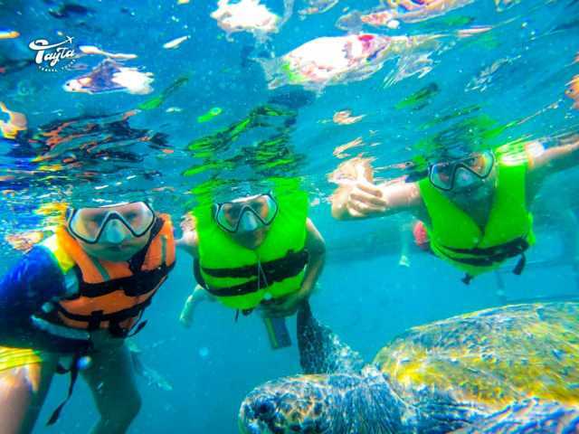 Tour Máncora nado con Tortugas y pesca costera con Ceviche a bordo en Piura