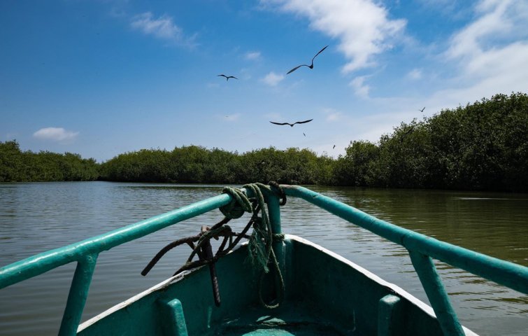 Playas de tumbes y Manglares full day en Tumbes