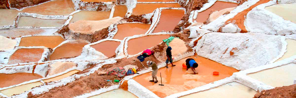 Tour a Maras, Moray y Machu Picchu en Machu Picchu