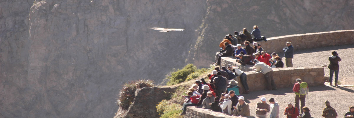 Tour al Cañón del Colca y al Lago Titicaca en Arequipa