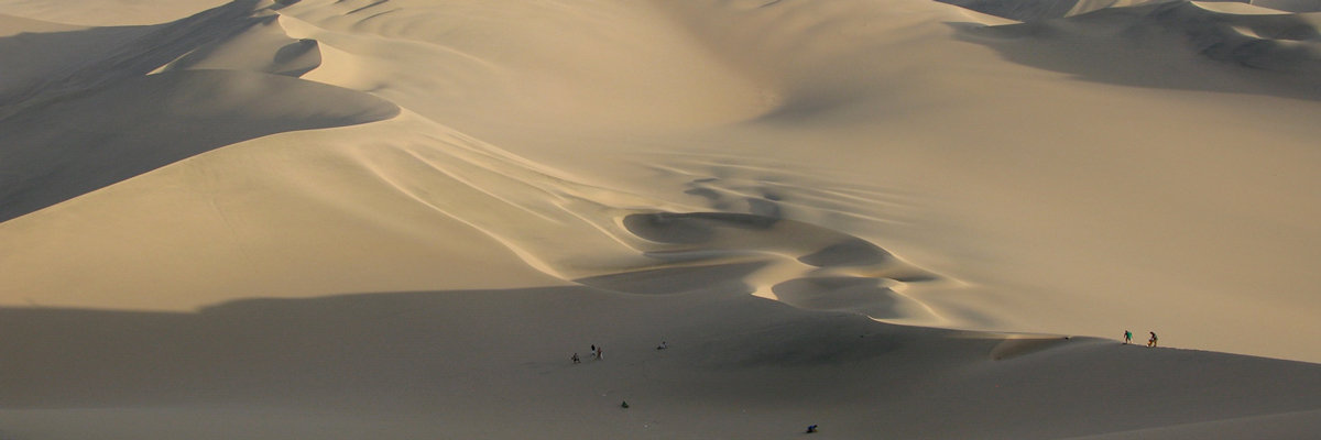 Tour por el Oasis de Usaca - Nazca en Nazca