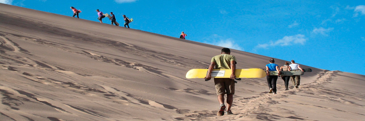 Tour por el Oasis de Usaca - Nazca en Nazca