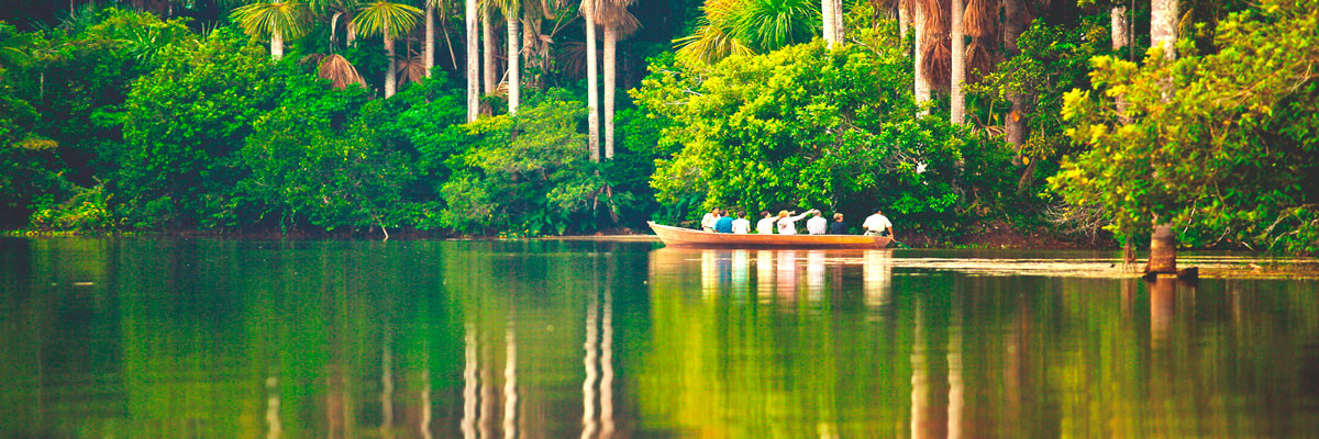 Tour por la jungla fascinante - 5 días en Tambopata