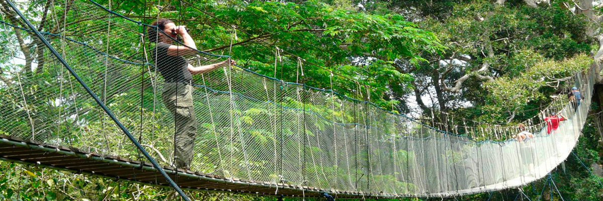 Tour Ecoaventuras Tambopata - 3 días en Tambopata