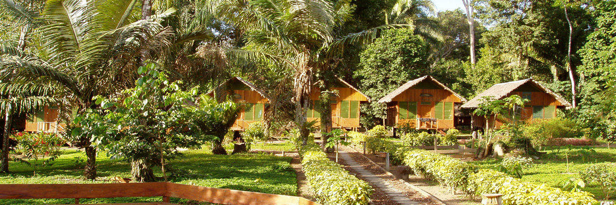 Tour Ecoaventuras Tambopata - 3 días en Tambopata