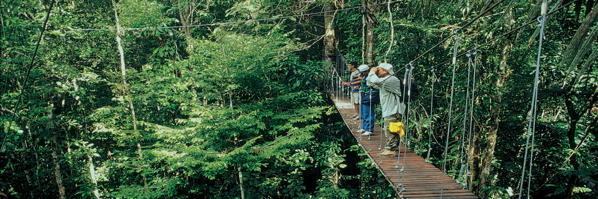 Tour de Ecoaventuras en un Día en Tambopata