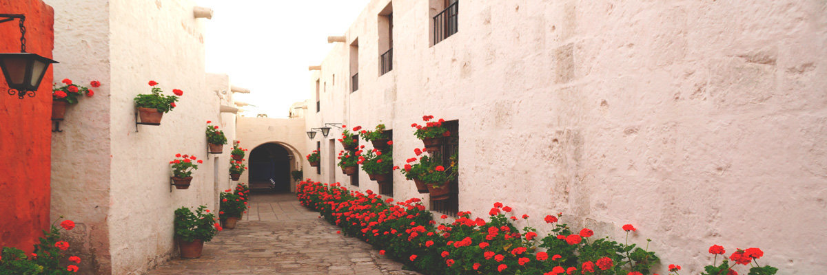 Arequipa city tour a pé e Mosteiro de Santa Catalina em Arequipa