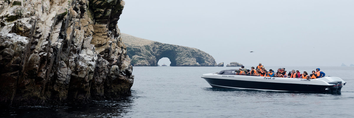 Tour pela Reserva Nacional de Paracas em Nazca