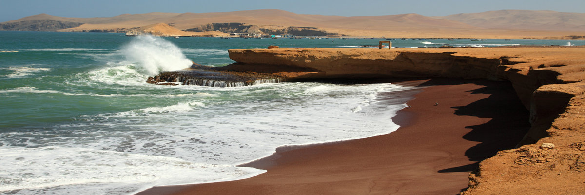 Tour pela Reserva Nacional de Paracas em Nazca