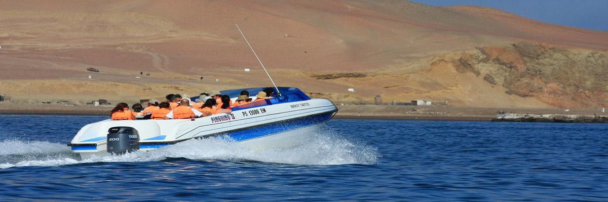 Tour pela Reserva Nacional de Paracas em Nazca