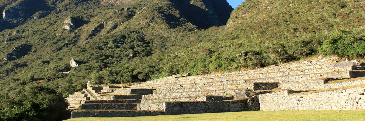 Tour pelo Jardim Santuário a Machu Picchu em Machu Picchu