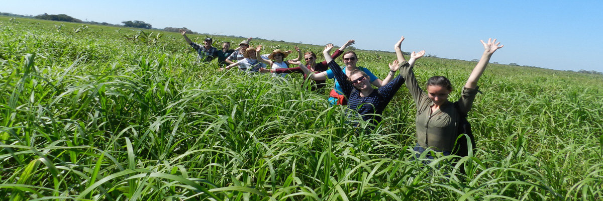 Tour a Rurrenabaque e Pampas em La Paz