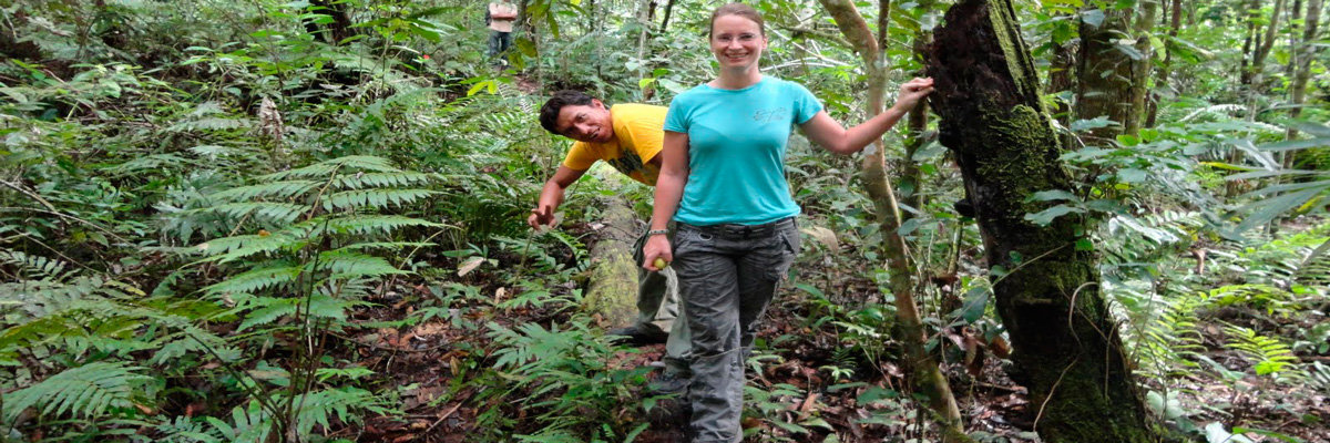 Tour a Rurrenabaque e pela Selva em La Paz