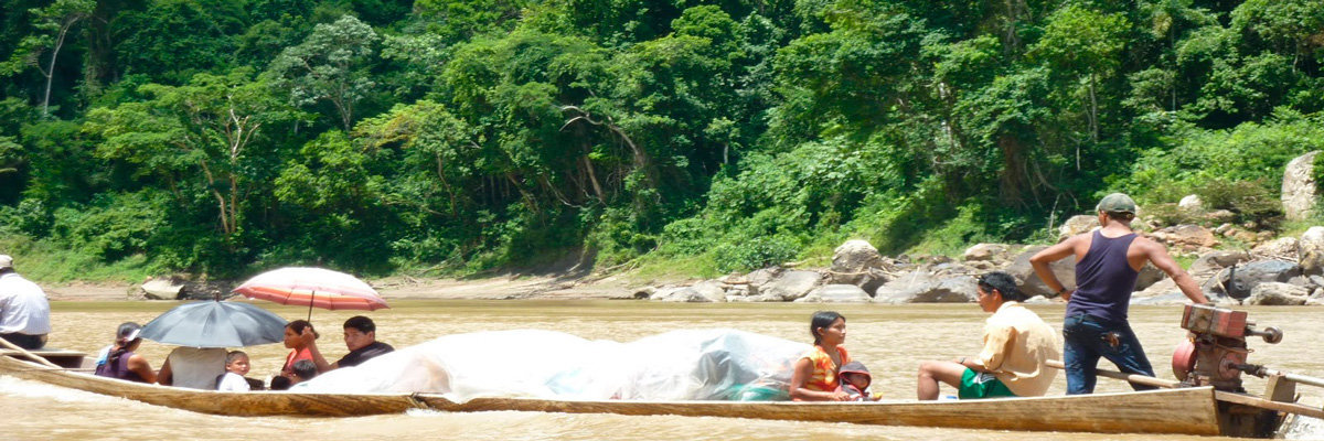 Tour a Rurrenabaque e pela Selva em La Paz