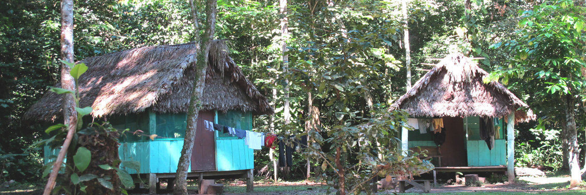 Tour a Rurrenabaque e pela Selva em La Paz