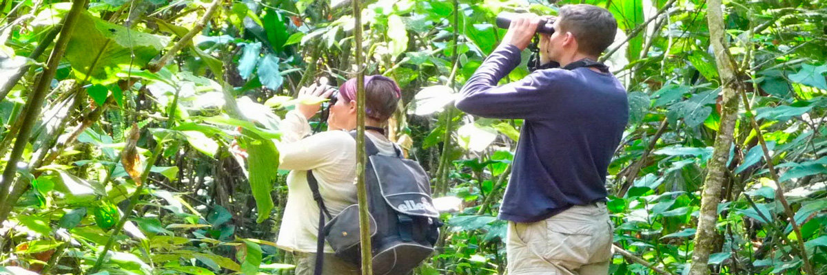 Tour pela Selva Fascinante - 5 días em Manu