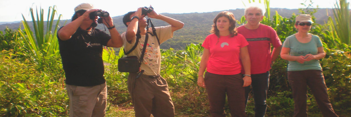 Tour pela Selva Fascinante - 3 dias em Manu