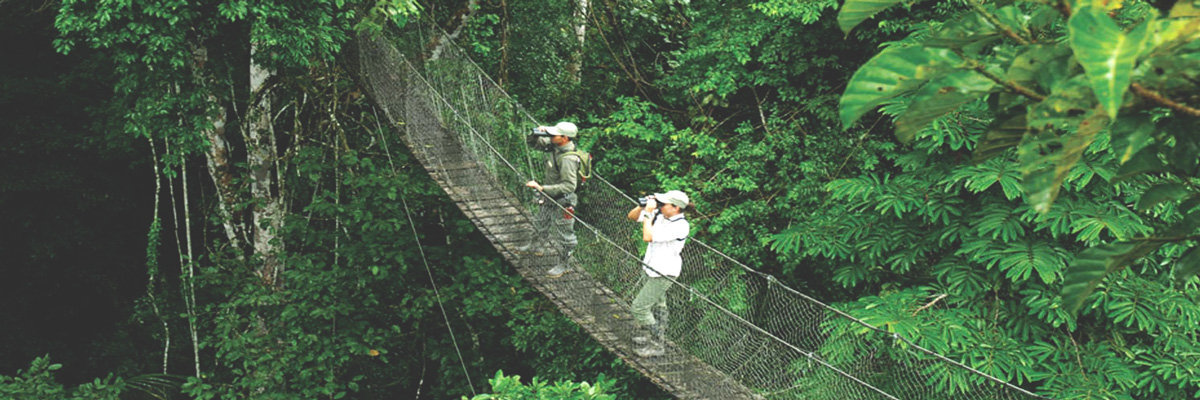 Eco Aventuras em Tambopata - 5 dias em Tambopata