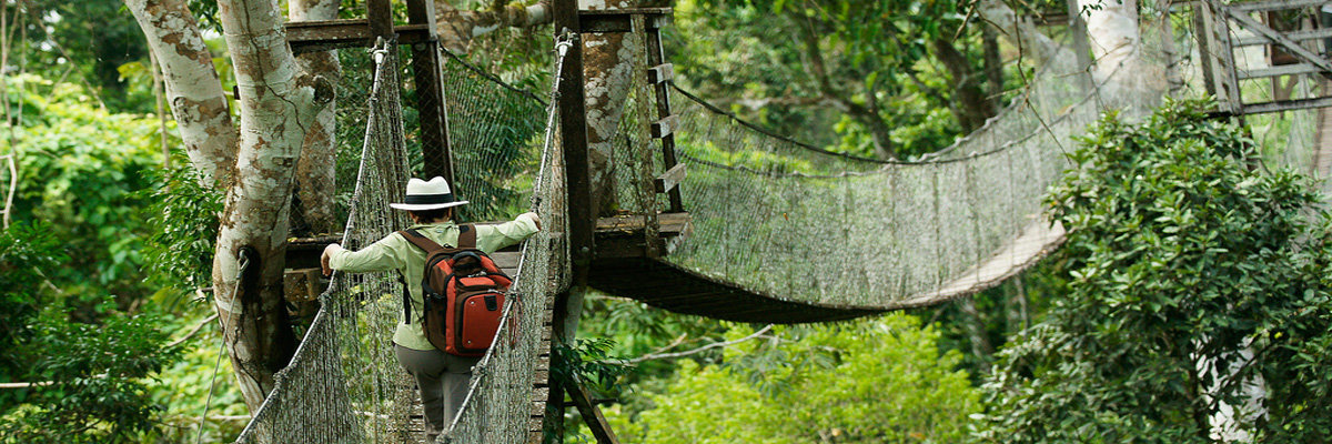 Eco Aventuras em Tambopata - 4 dias em Tambopata