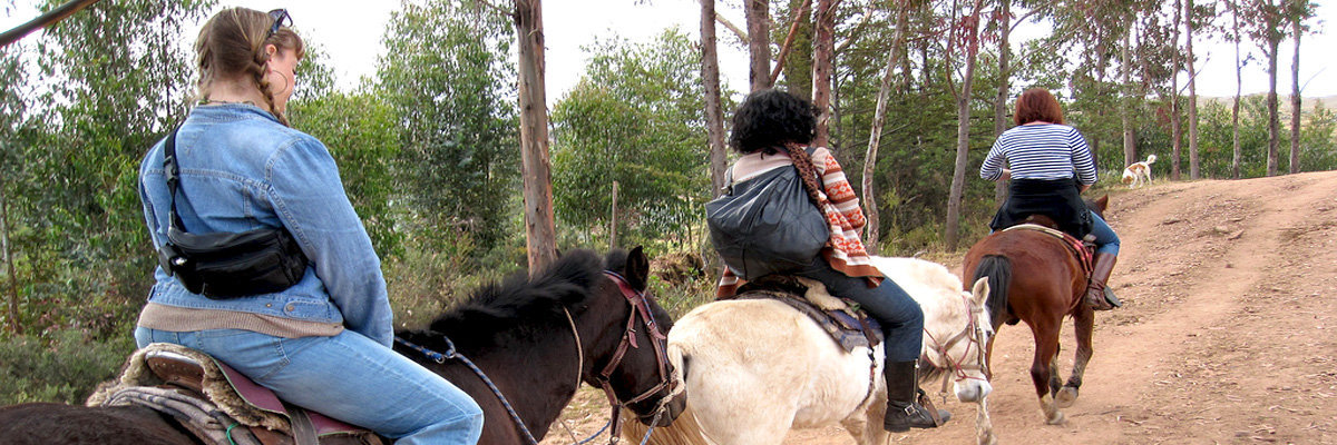 Horseback Riding in Cusco in Cusco