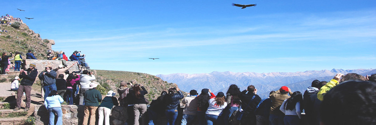 Colca Canyon Trekking  2 Days  in Arequipa