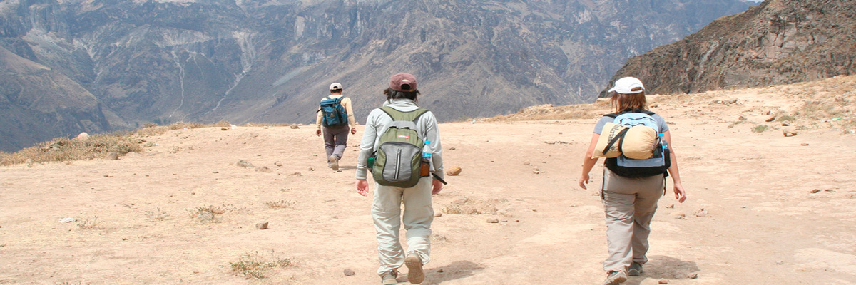 Colca Canyon Trekking  2 Days  in Arequipa