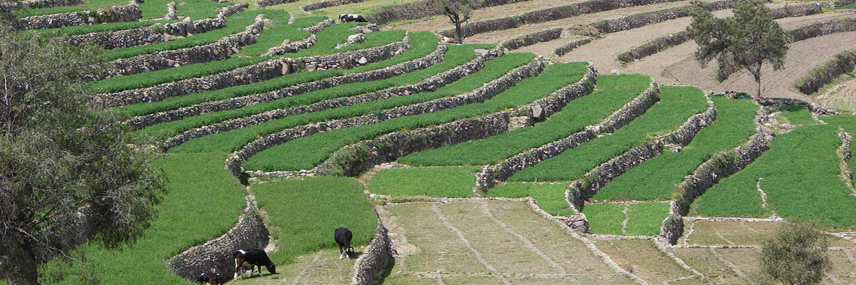 Tour Countryside Founders Mansion in Arequipa