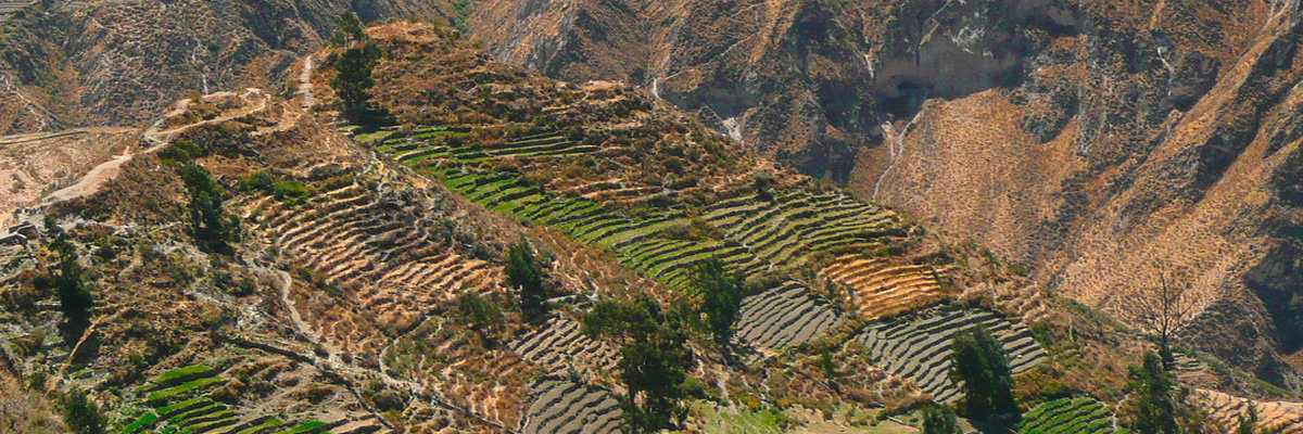 Cotahuasi Canyon in Arequipa