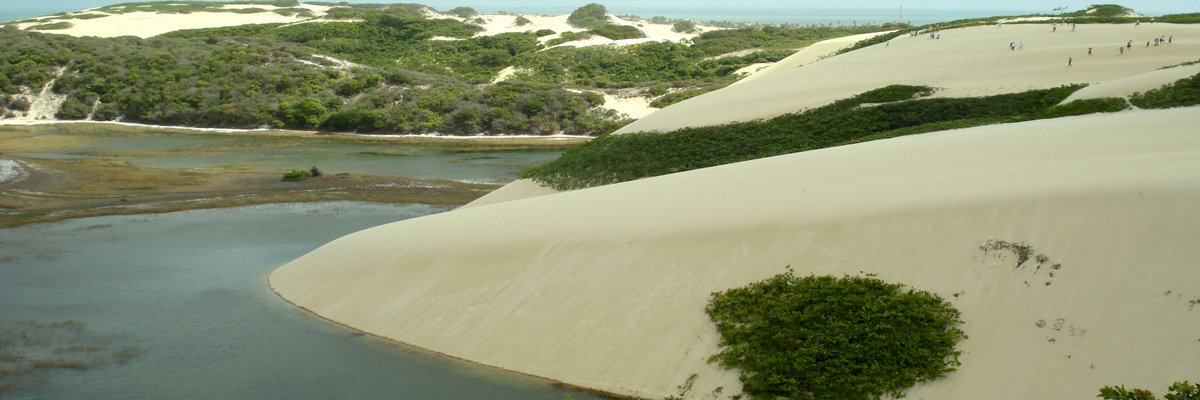 Usaca Oasis in Ica