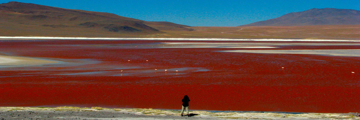 Uyuni Salt Flats Fullday in Uyuni 
