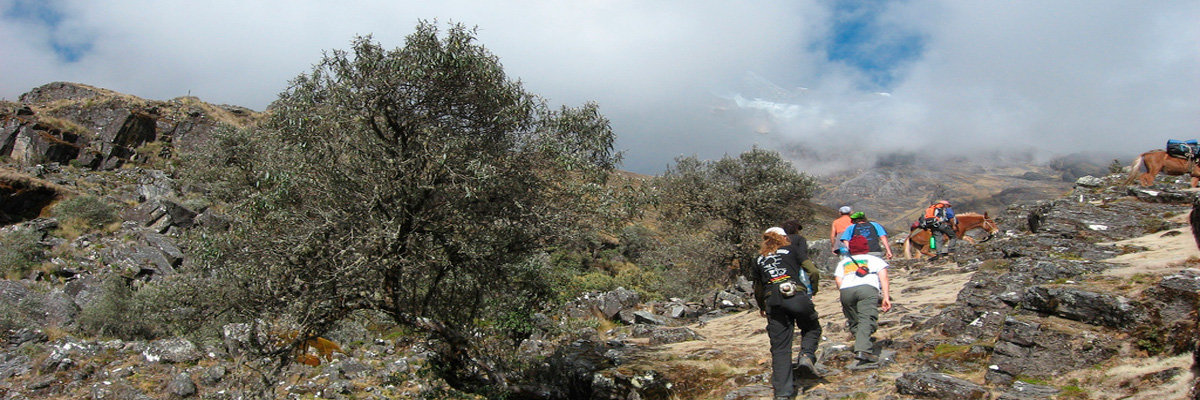 Trek to Glacier Lagoon in La Paz