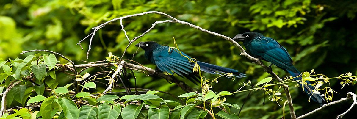 Ecoaventuras Tambopata in Tambopata