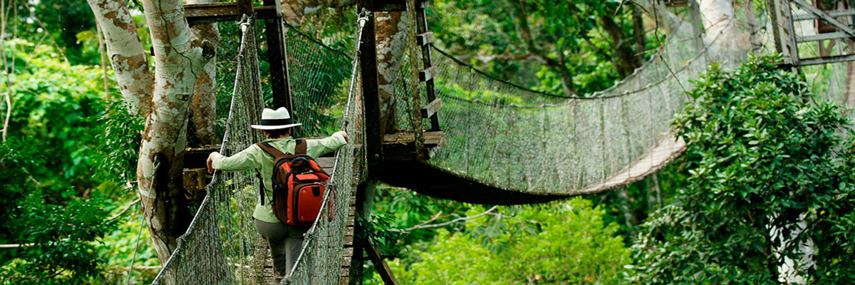 Full Ecoaventuras in Tambopata