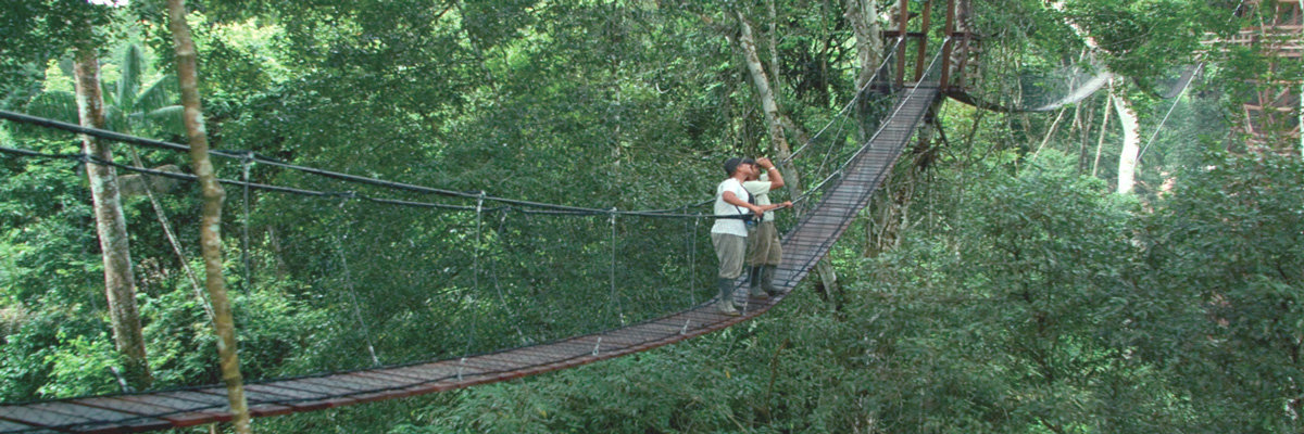 Full Ecoaventuras in Tambopata