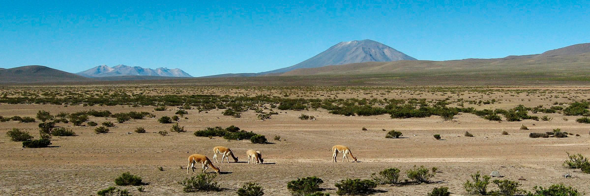 Colca Canyon to Lake Titicaca in Arequipa