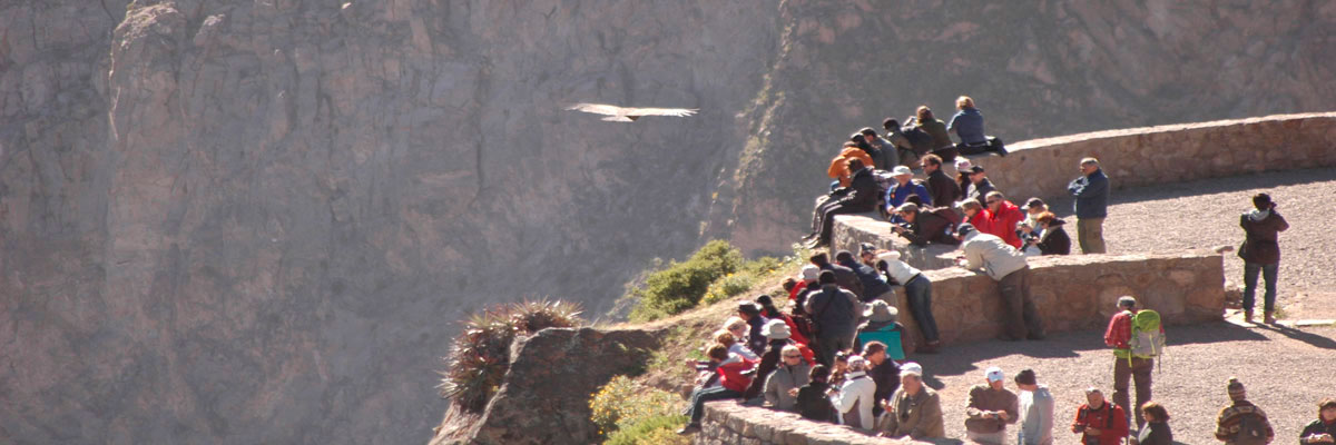Colca Canyon to Lake Titicaca in Arequipa